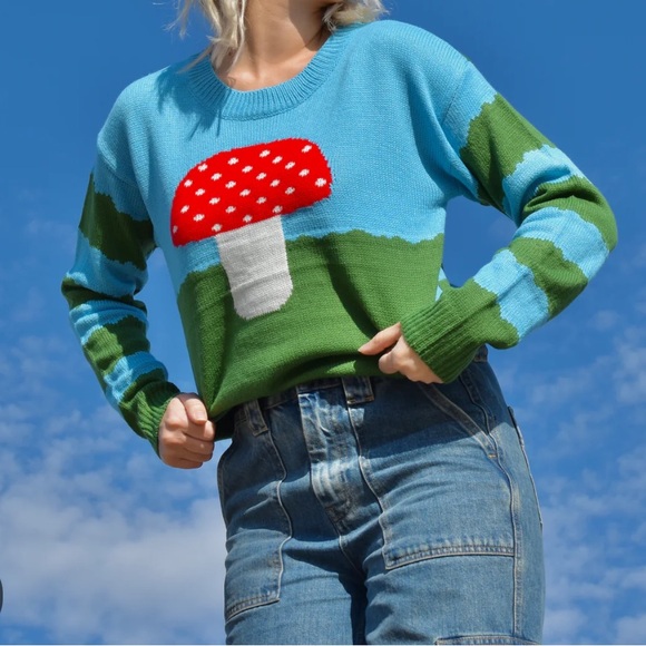 Zara Sweaters - Mushroom sweater